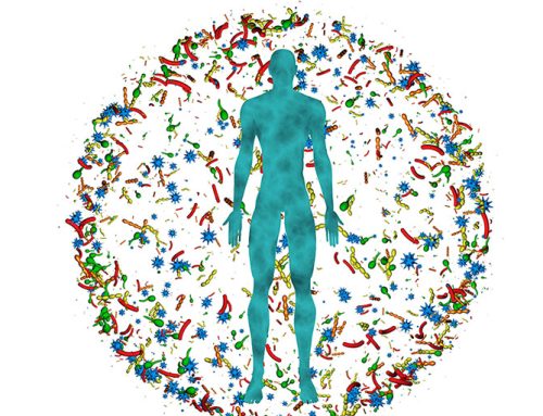 Microbiome Skincare in 2026: What the Science Actually Supports