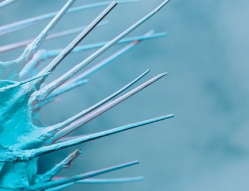 What Are Spicules? The K-Beauty Ingredient Gaining Attention