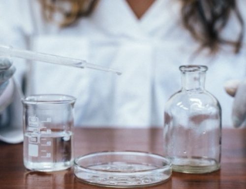 Squalane vs. Squalene: What’s the Difference, and Why Does It Matter for Your Skin?